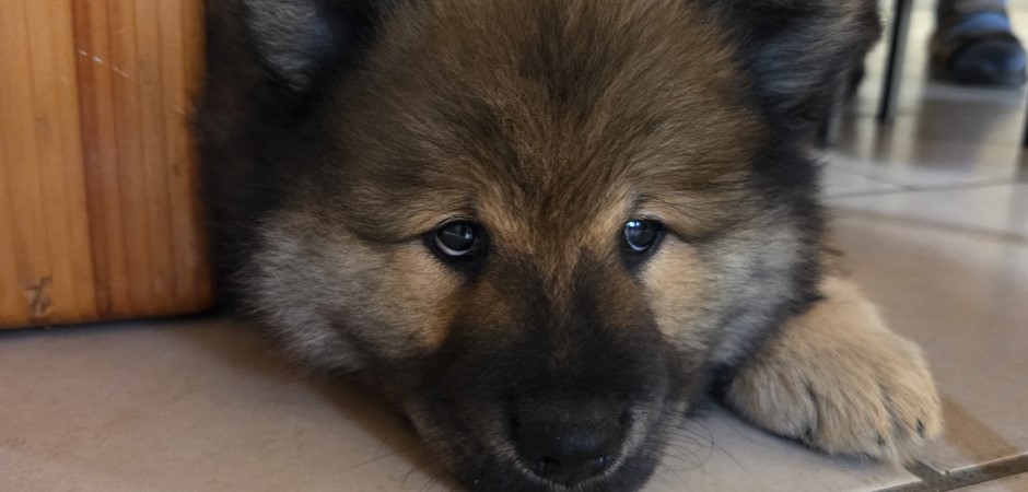 Aston 29-08-2025 (23).jpg